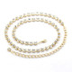 1 Row Diamante Waist Chain Belts for Women Fashion Accessory - Gold Silver